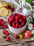 raspberry, berry, summer, garden, closeup, harvest, nature, ripe, plate, food, red, appetizing, breakfast, wallpaper for girls, iphone wallpaper, iphone wallpaper, iphone wallpaper, iphone wallpaper, iphone wallpaper, iphone wallpaper